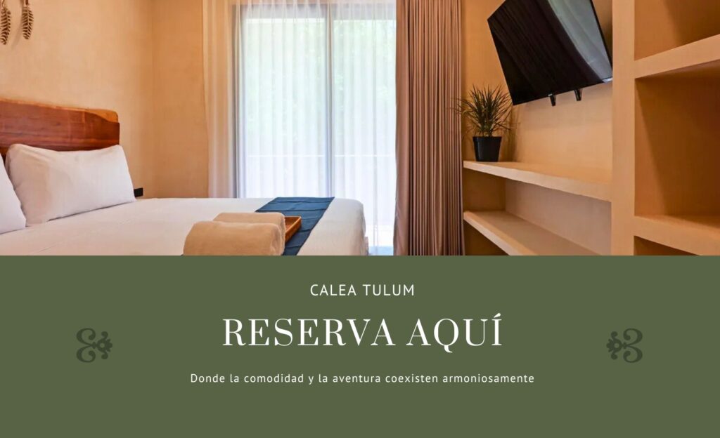 Banner para alquilar habitación