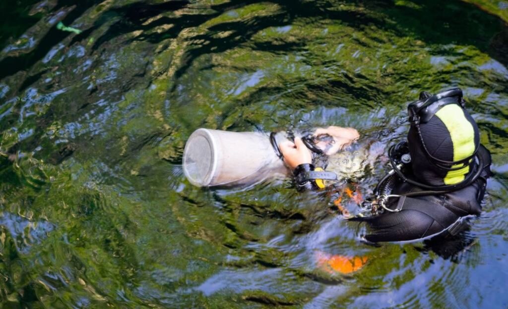 Buzo nadando en el cenote calavera de Tulum